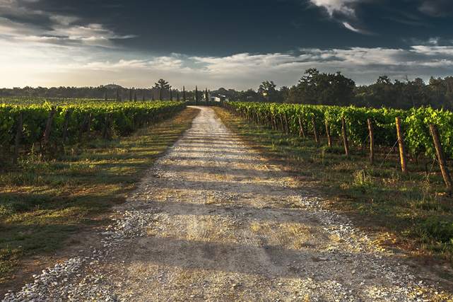 Land for farming: who can get it and how