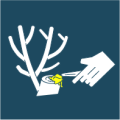 Tree-pruning paste