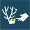 Tree-pruning paste