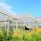 SVETLITSA™ film width 4 meters (roll)